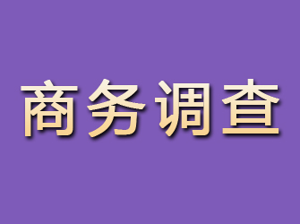 洛川商务调查